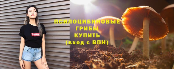 дживик Армянск
