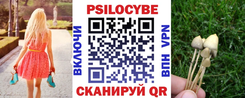 купить   Ужур  Галлюциногенные грибы Magic Shrooms 